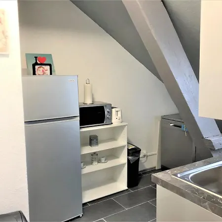 Comfort Basel Airport 3b46 Appartamento *