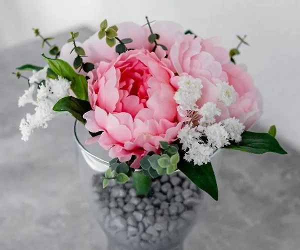 Appartement Comfort Basel Airport 3b46 *